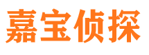 新浦市侦探公司